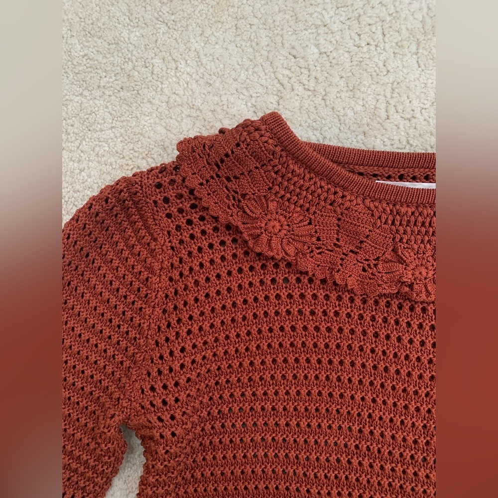 Doen Size Large Talia Knit Pima Cotton Sweater in Chile with Crochet Lace Collar - Picture 8 of 15